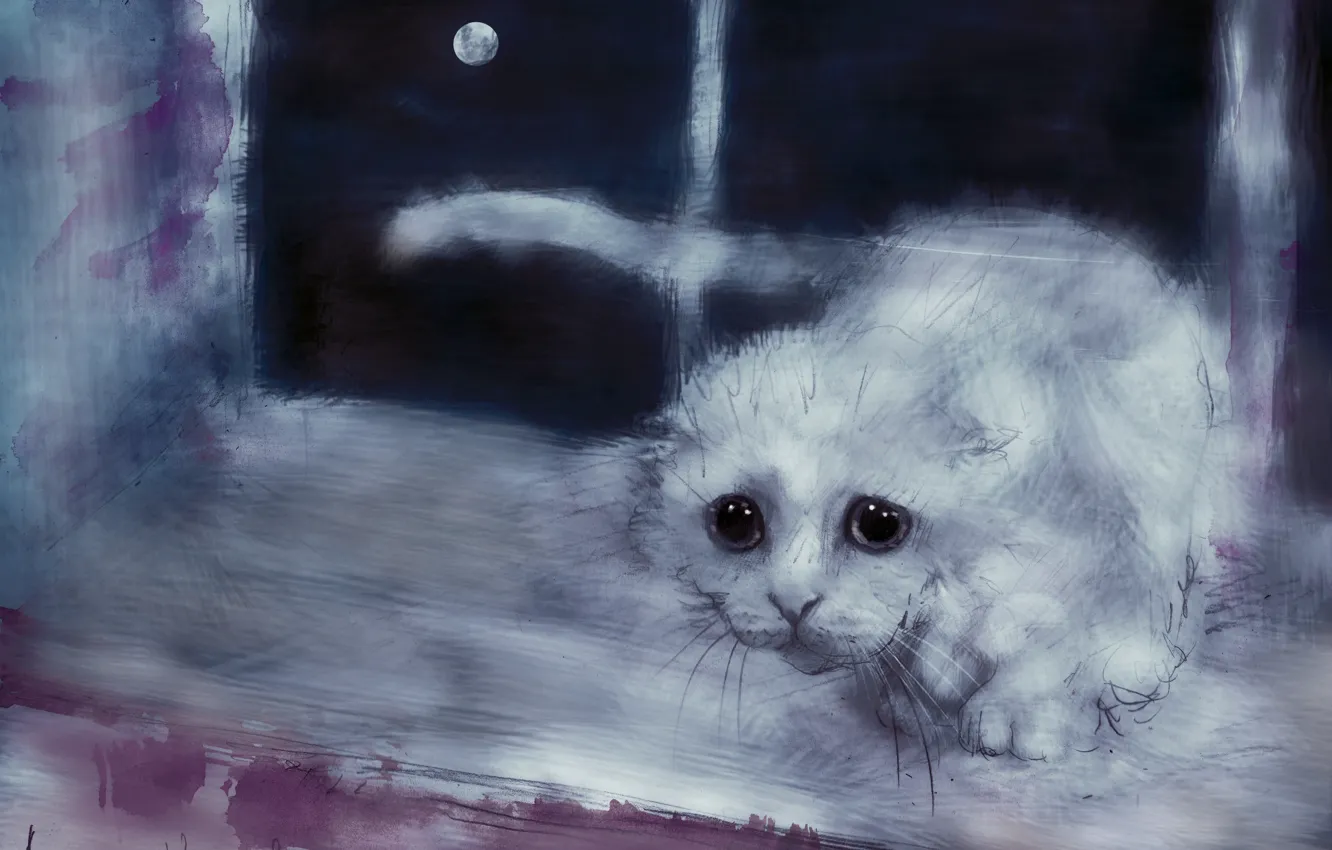 Photo wallpaper cat, look, the moon, figure, window, art, white, sill
