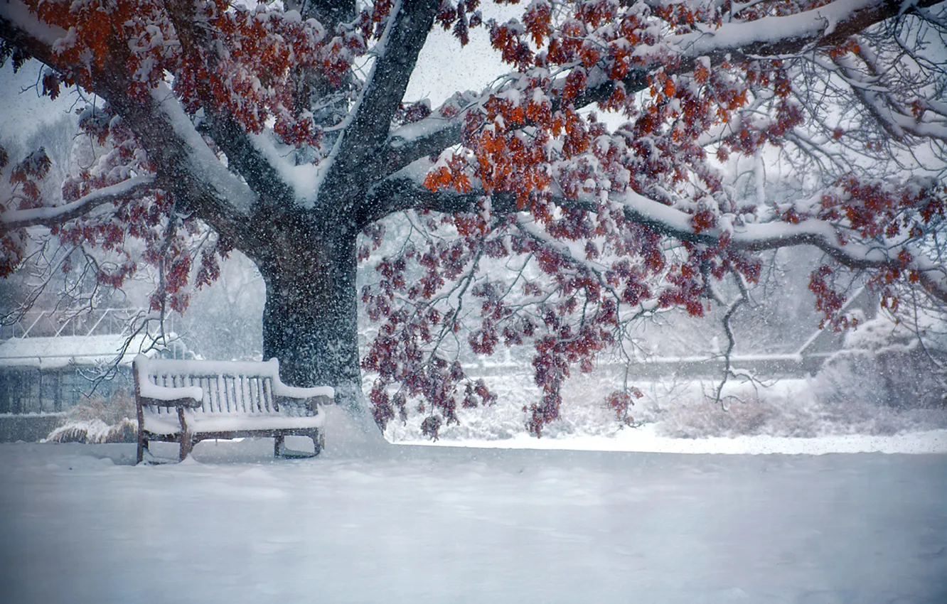 Photo wallpaper winter, street, snowfall, bench
