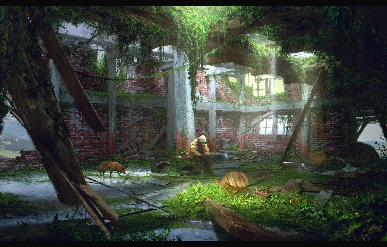 Photo wallpaper people, dog, devastation, ruins, alone