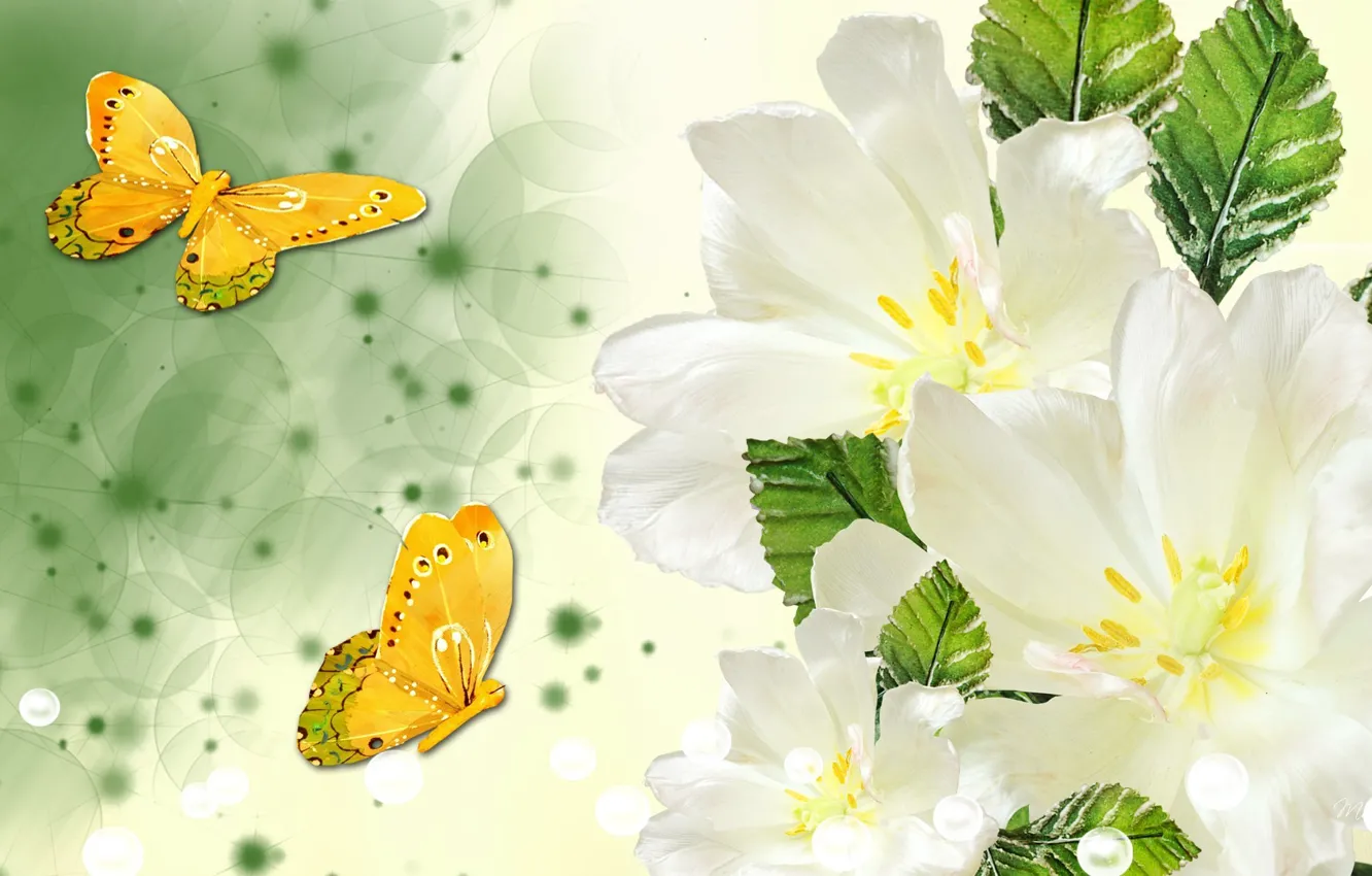 Photo wallpaper flowers, butterfly, wings, vector, petals