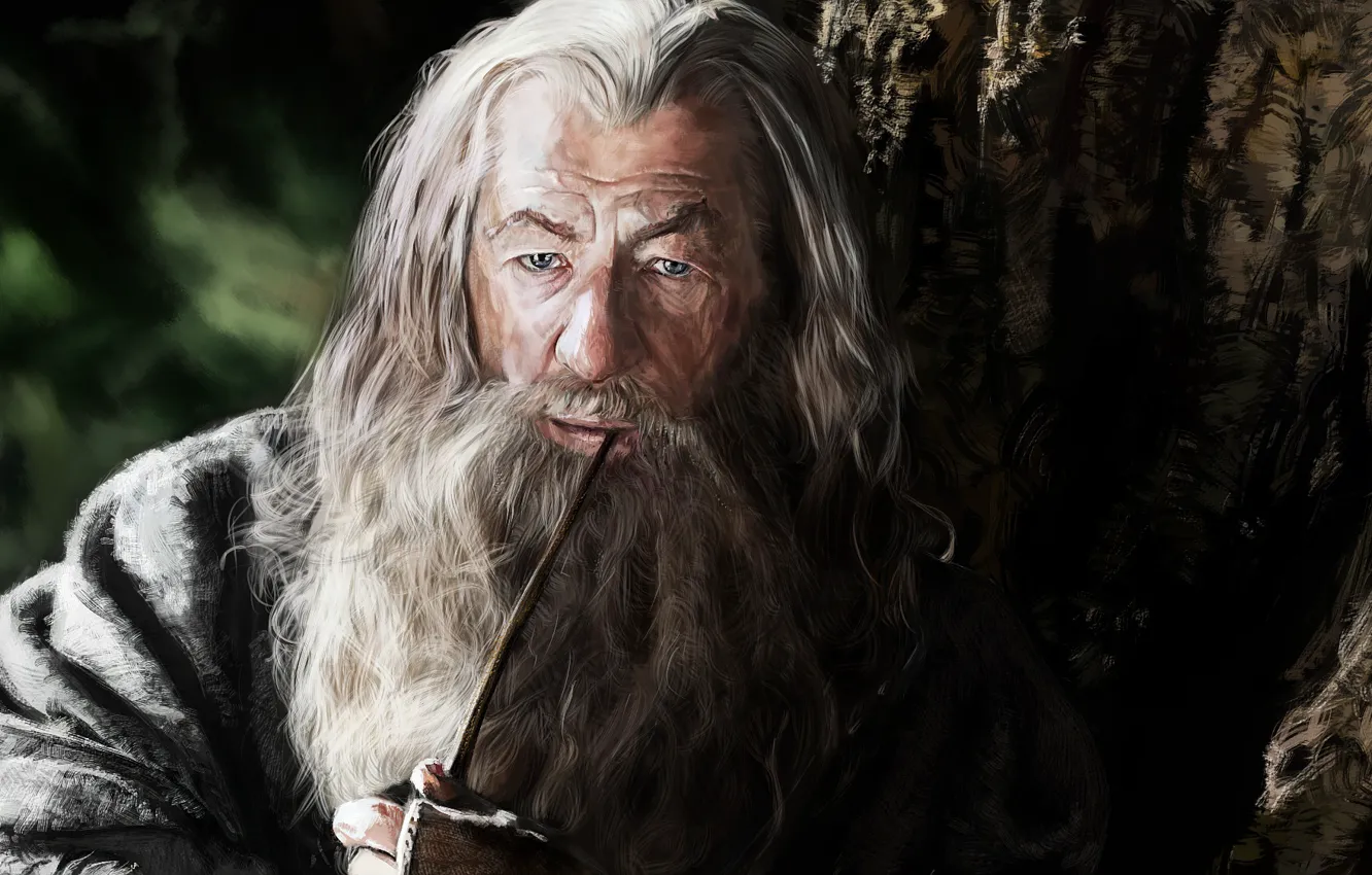 Photo wallpaper figure, The Lord of the Rings, Gandalf, artwork, The Hobbit, Gandalf The Grey, Mithrandir