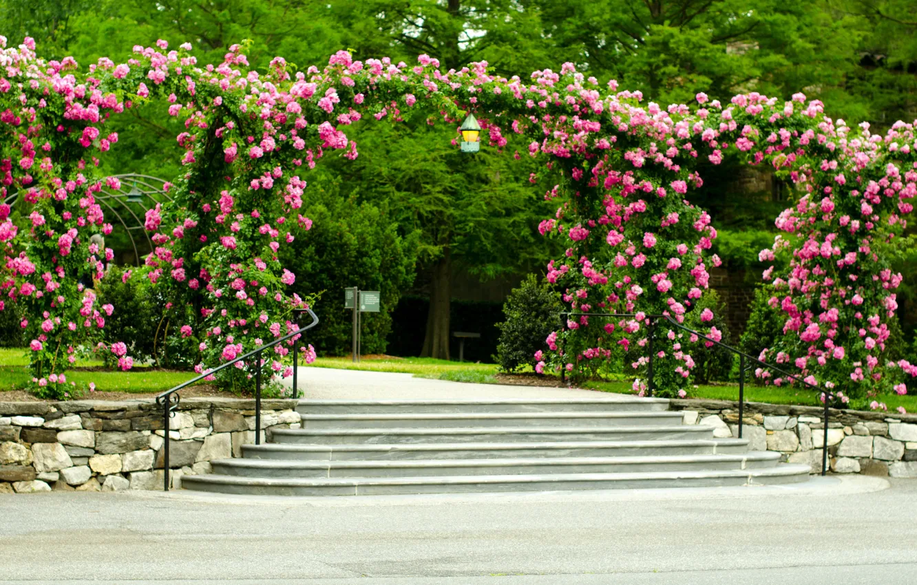 Photo wallpaper trees, flowers, Park, lawn, roses, ladder, track, steps