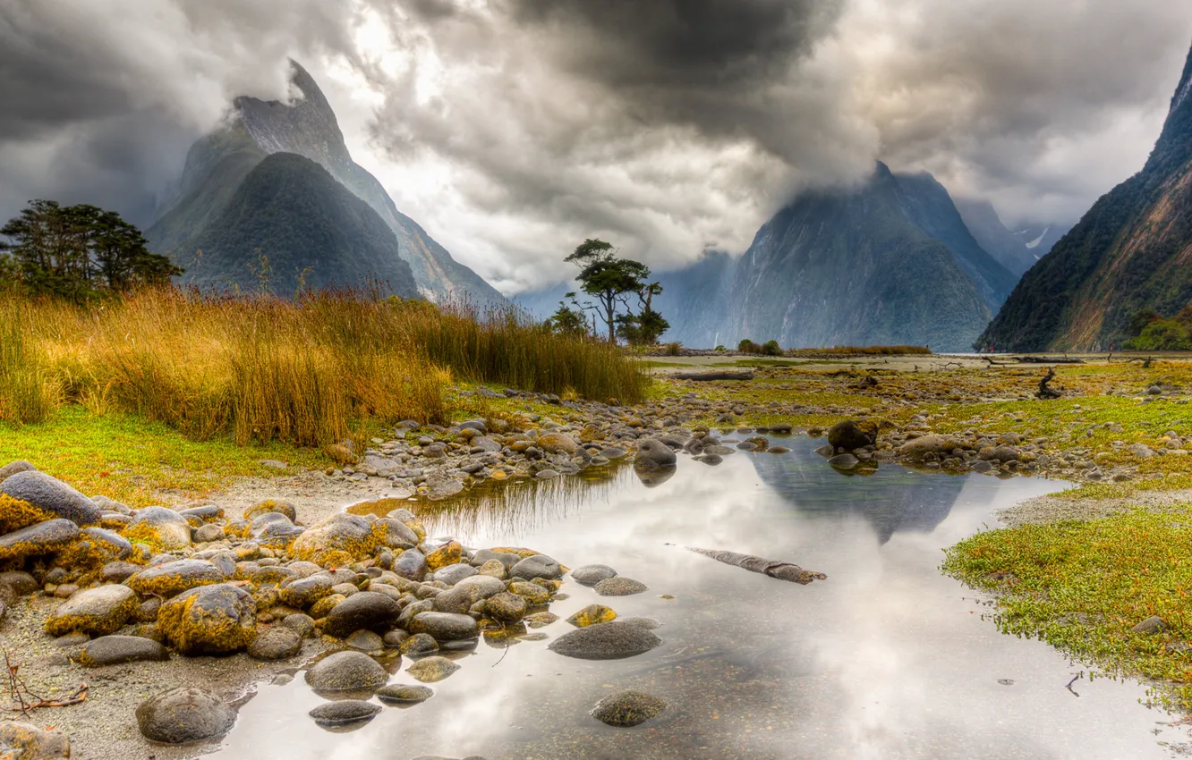 Photo wallpaper New Zealand, mountain, lake, Milford Sound