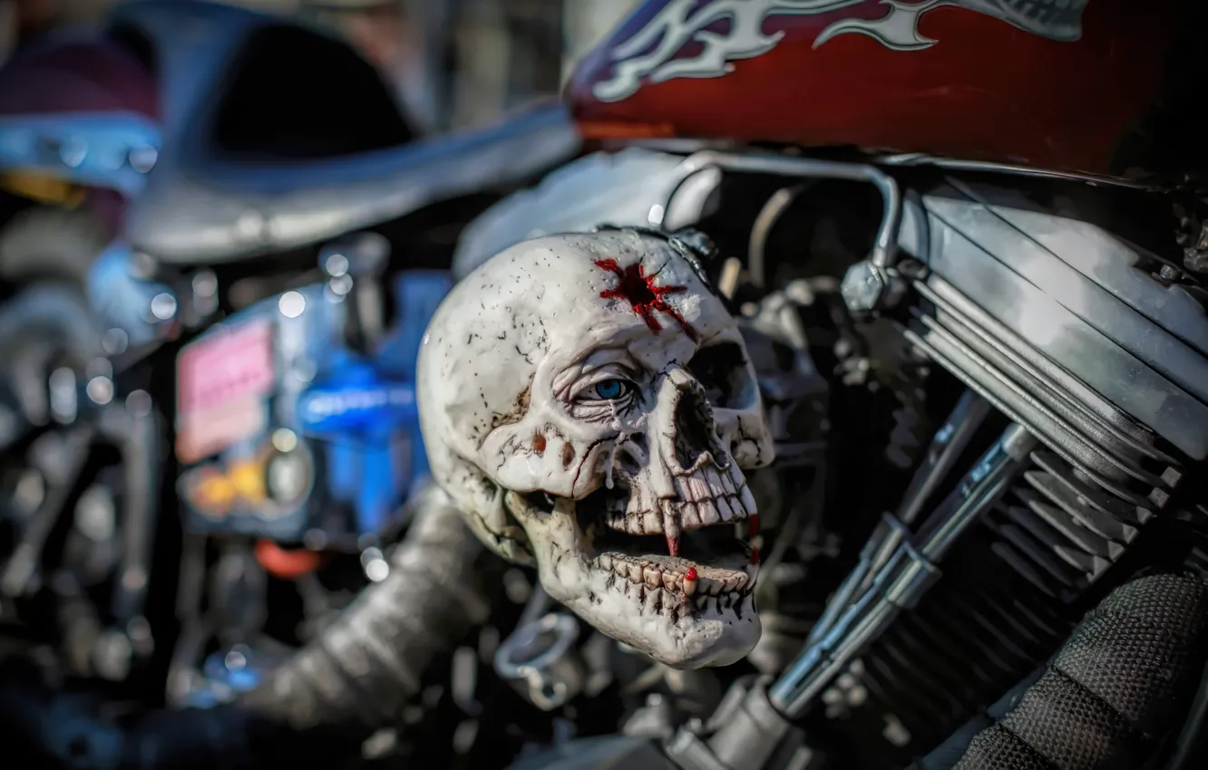 Photo wallpaper background, skull, motorcycle