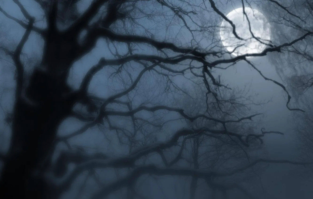 Photo wallpaper night, fog, the moon