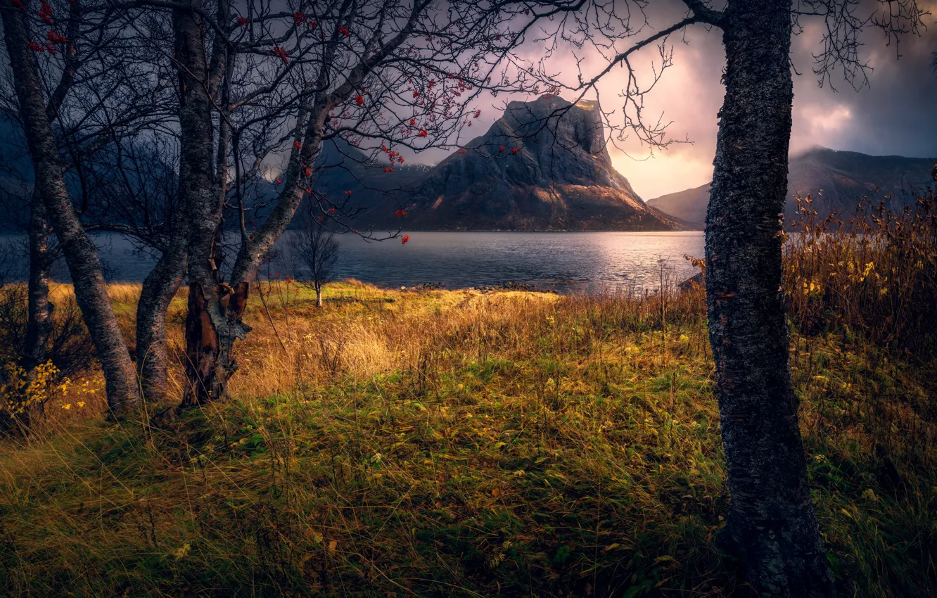 Photo wallpaper autumn, water, trees, landscape, mountains, clouds, nature, Norway