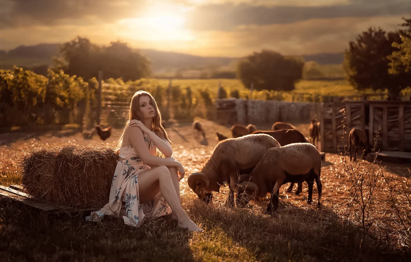 Photo wallpaper look, the sun, trees, landscape, nature, pose, model, the fence