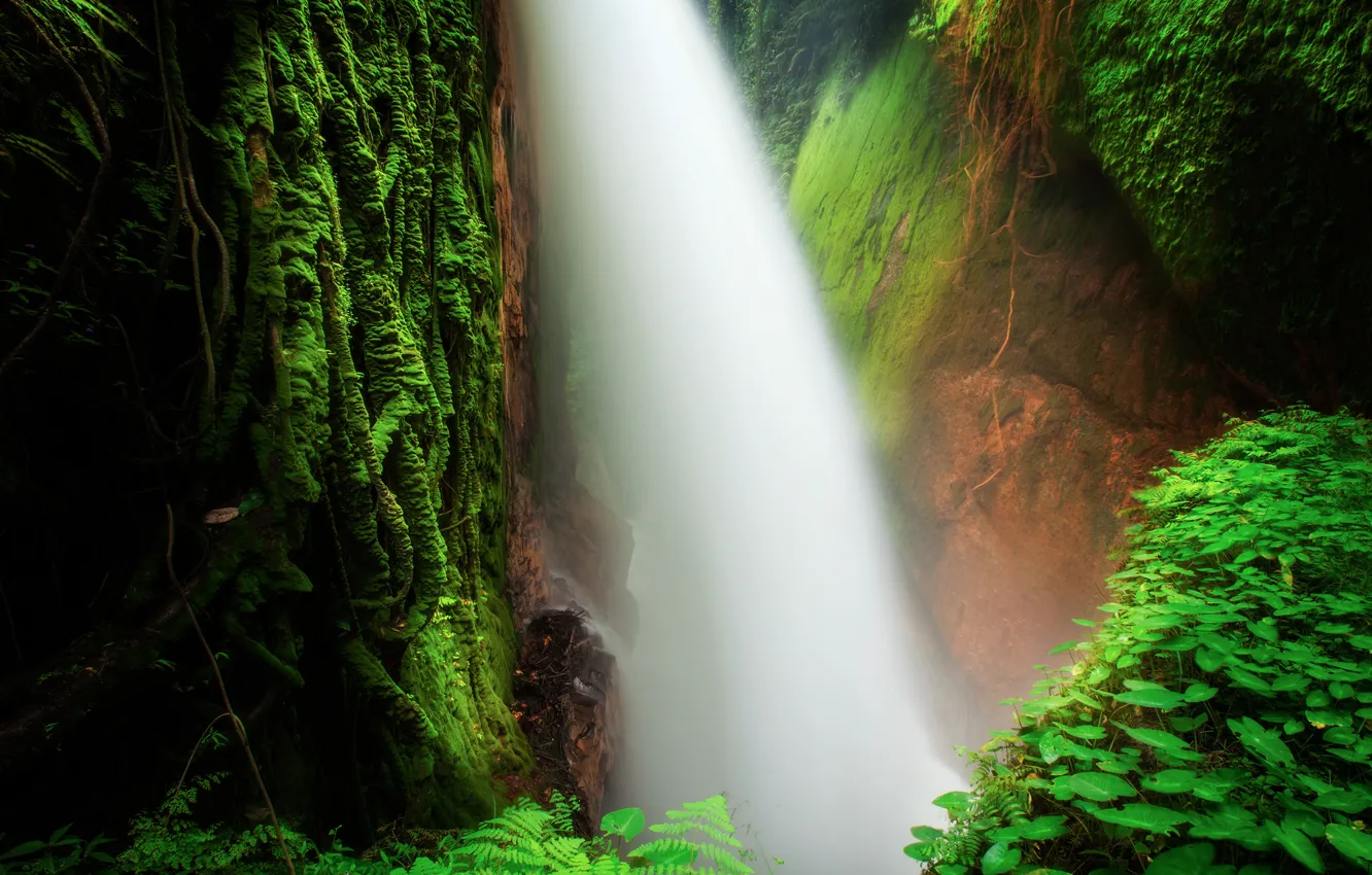 Photo wallpaper water, stones, waterfall, moss, stream