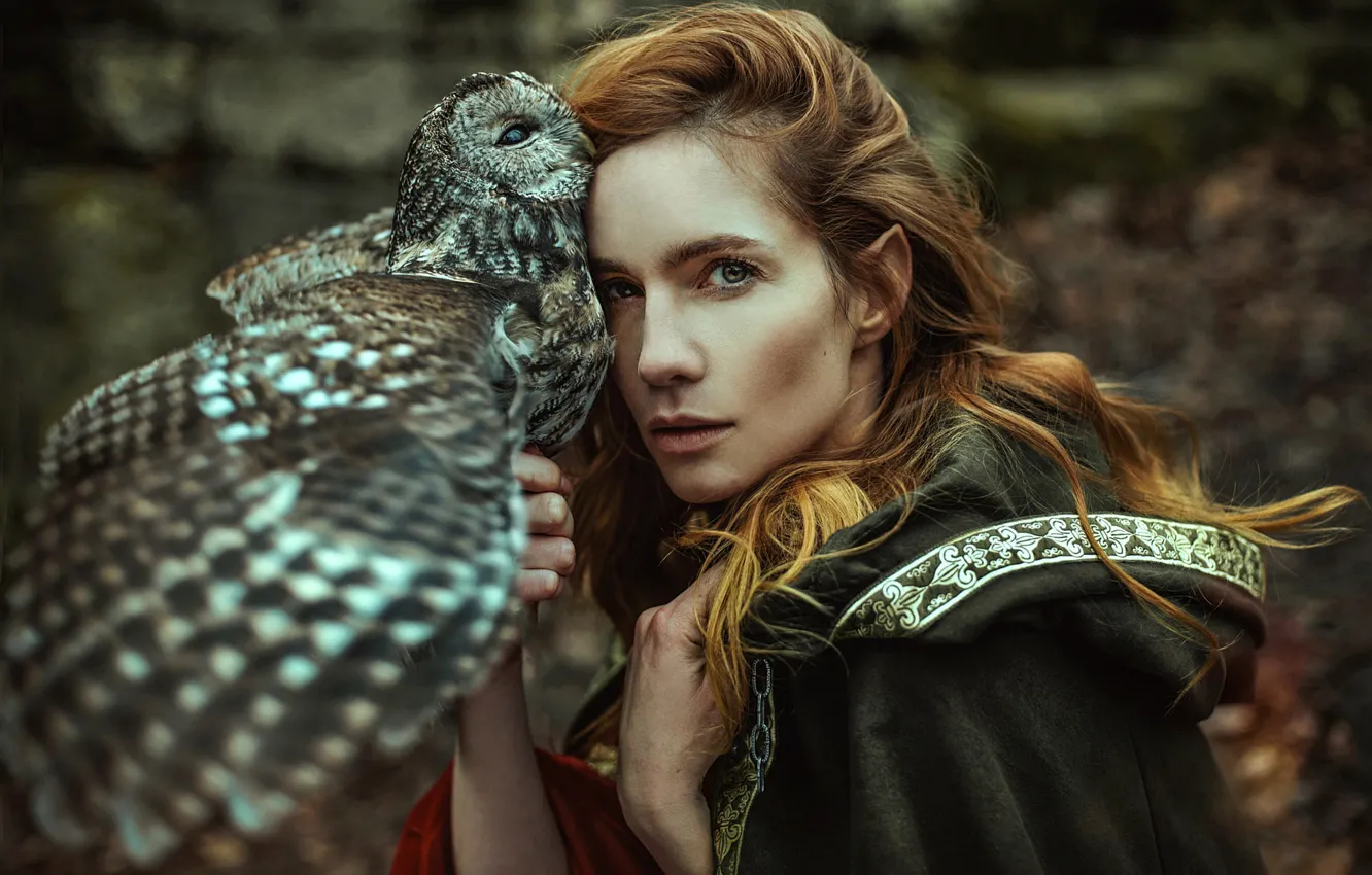 Photo wallpaper girl, style, owl, bird, woman, fantasy, elf, Marketa Novak