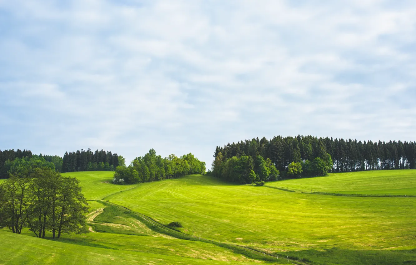 Photo wallpaper road, greens, field, forest, the sky, grass, clouds, trees
