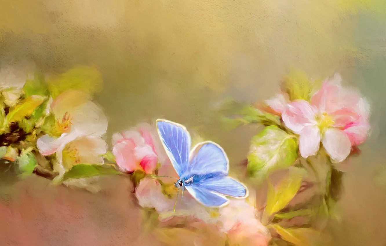 Photo wallpaper macro, flowers, branches, blue, butterfly, treatment, spring, art