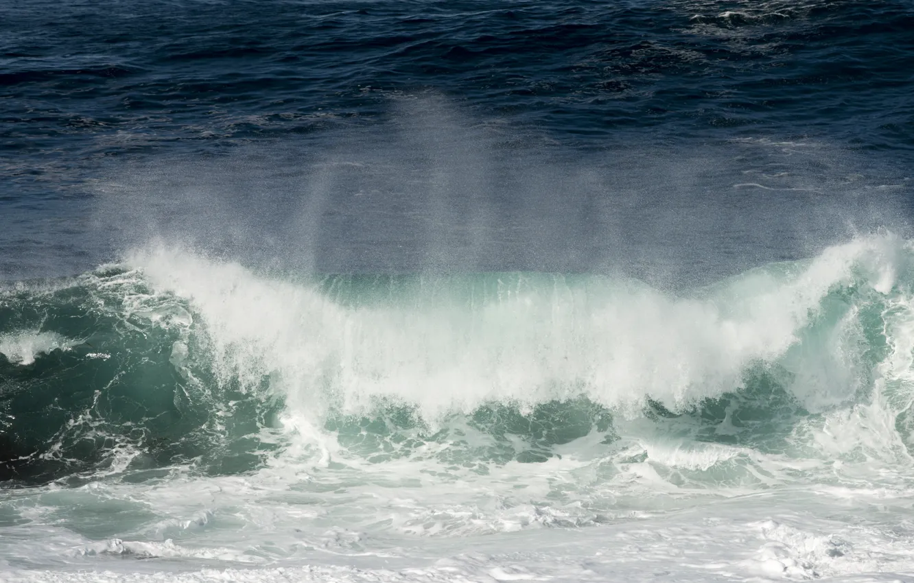 Photo wallpaper sea, wave, beach, summer, summer, beach, sea, ocean
