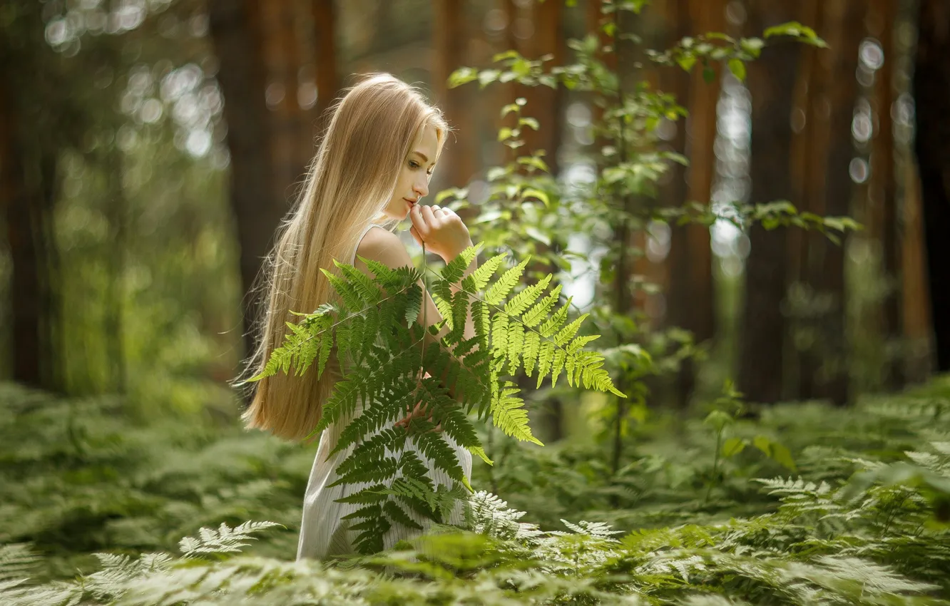 Photo wallpaper girl, forest, trees, nature, model, women, blonde, plants