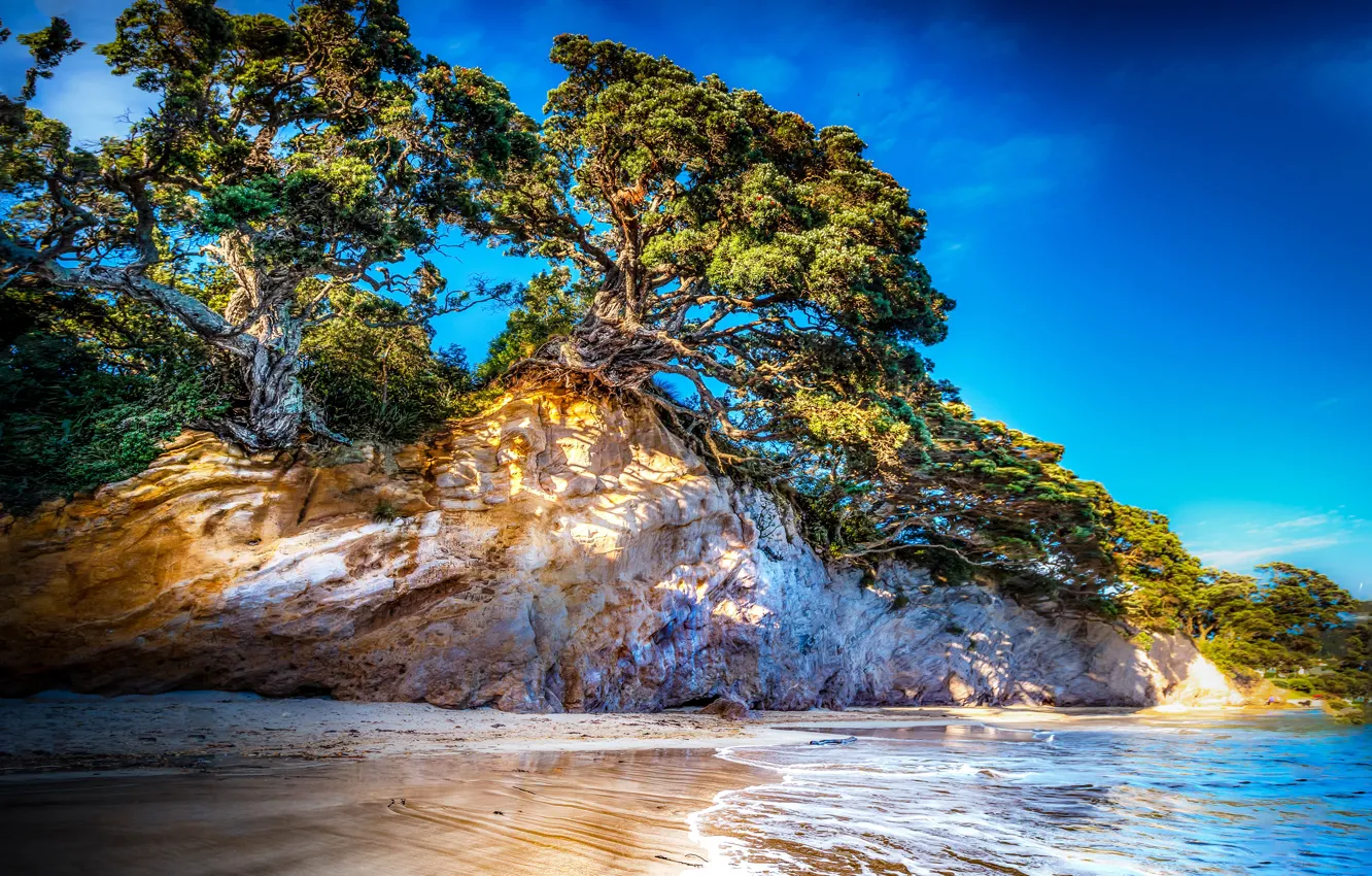Photo wallpaper sea, the sky, trees, rocks, coast, HDR, New Zealand, trees