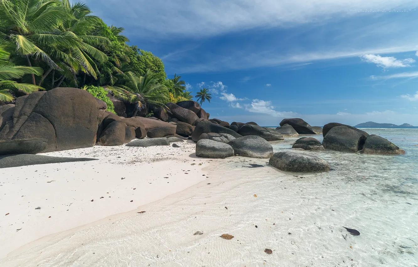Photo wallpaper sand, sea, stones, palm trees, coast