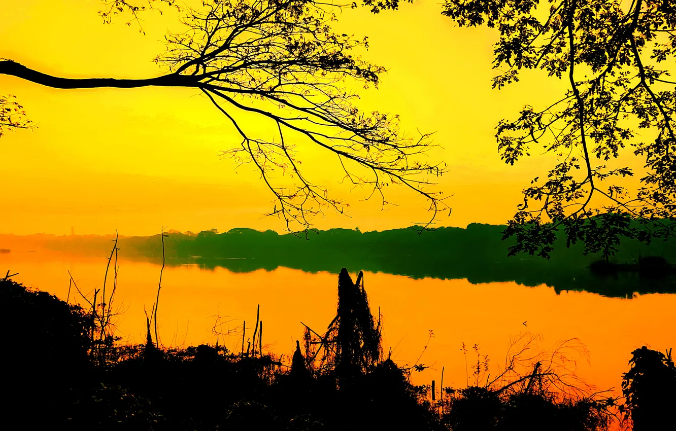 Photo wallpaper sky, trees, sunset, water, lake, evening, bushes, dusk