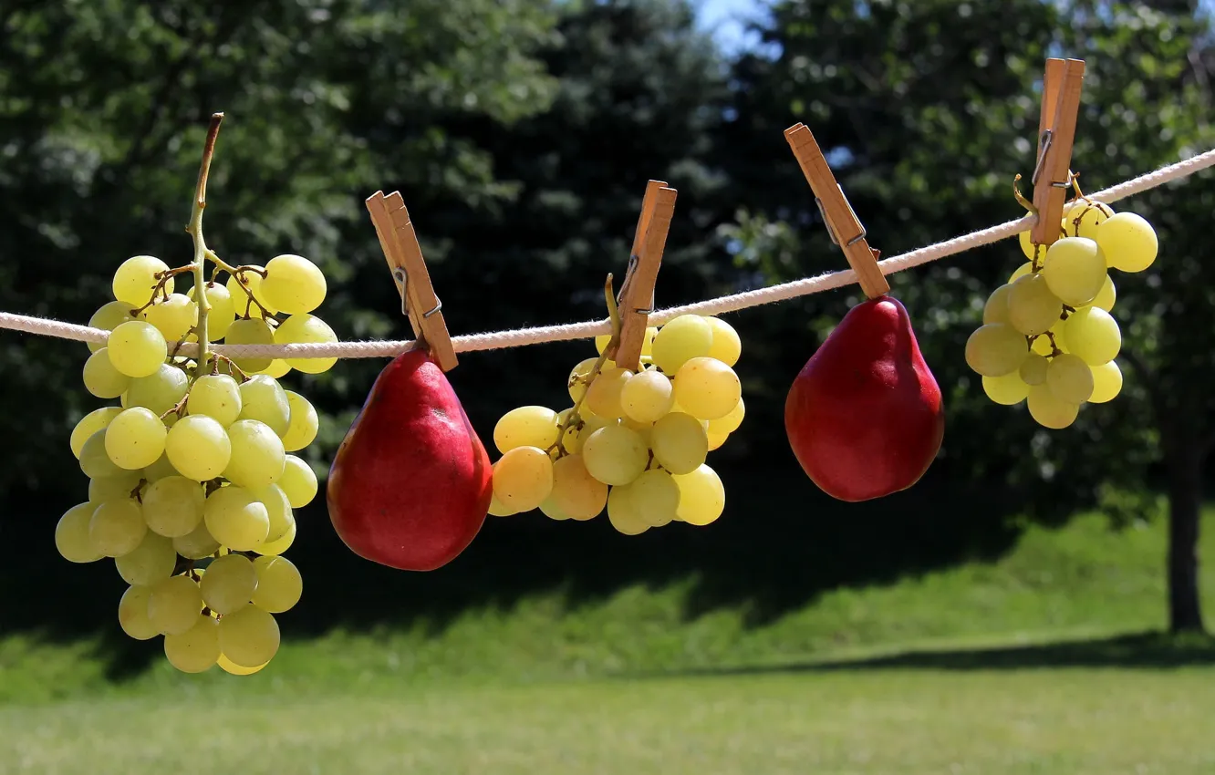 Photo wallpaper berries, grapes, fruit, pear, rope, clothespins