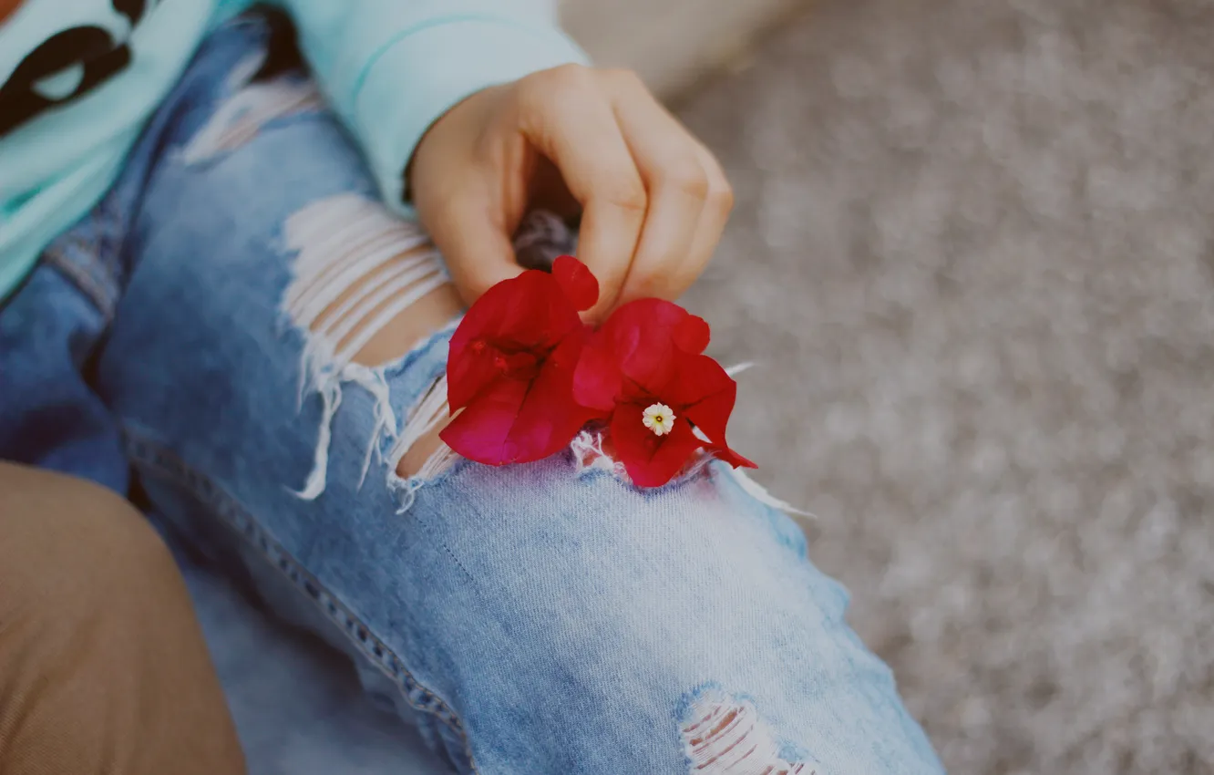 Photo wallpaper flowers, jeans, petals