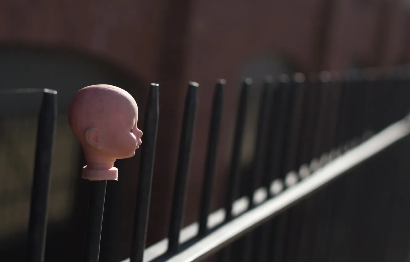 Photo wallpaper the fence, head, doll