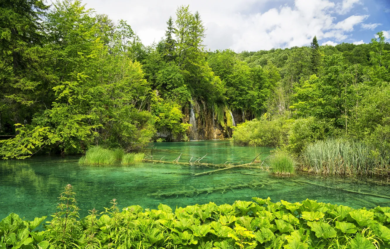 Photo wallpaper forest, nature, lake, Park, Croatia