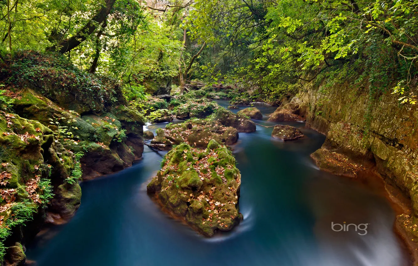 Photo wallpaper forest, river, stones, Greece, Greece, Ioannina, Epirus, Epirus