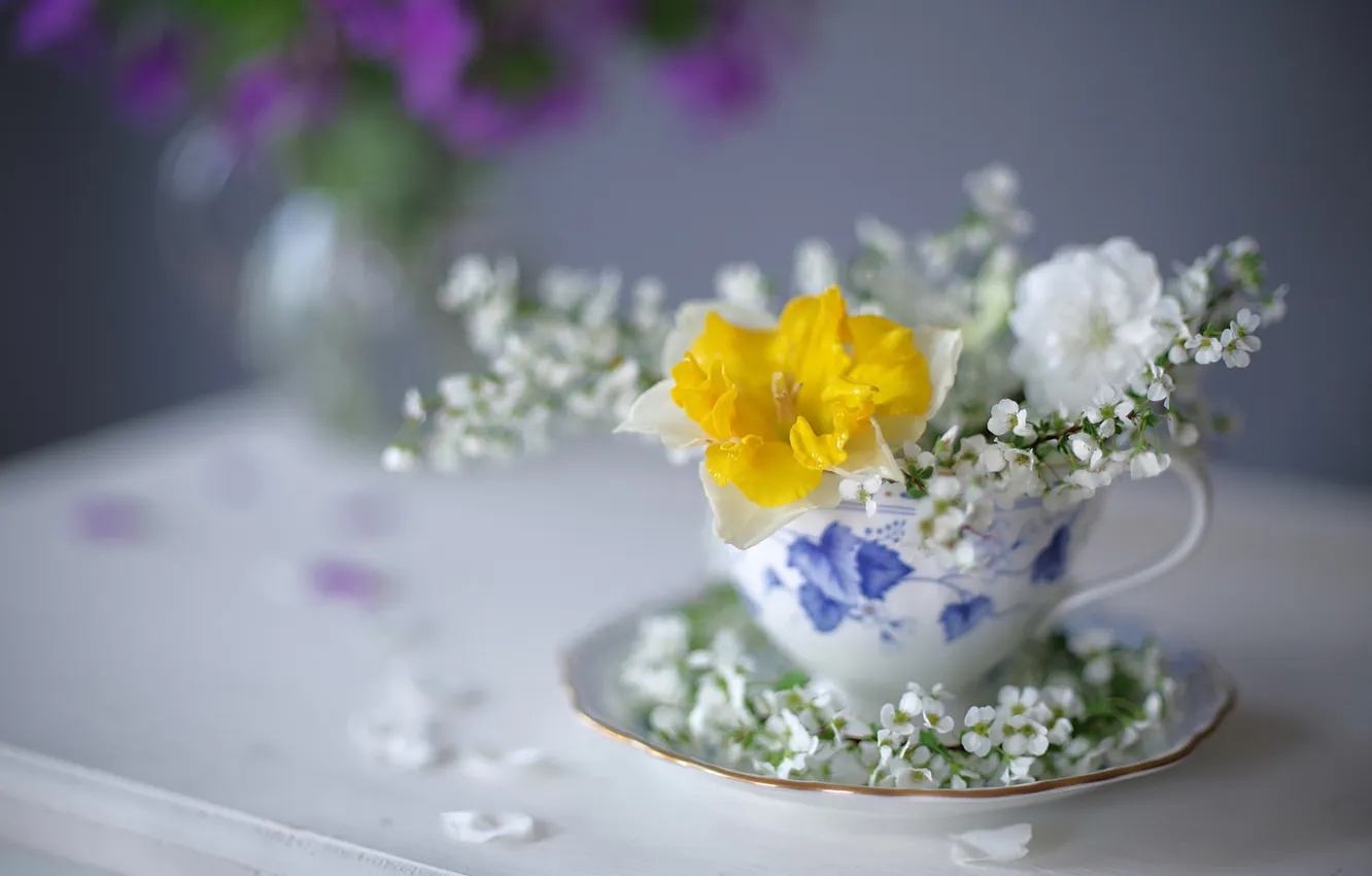 Photo wallpaper flowers, yellow, sprig, table, blur, spring, petals, Cup
