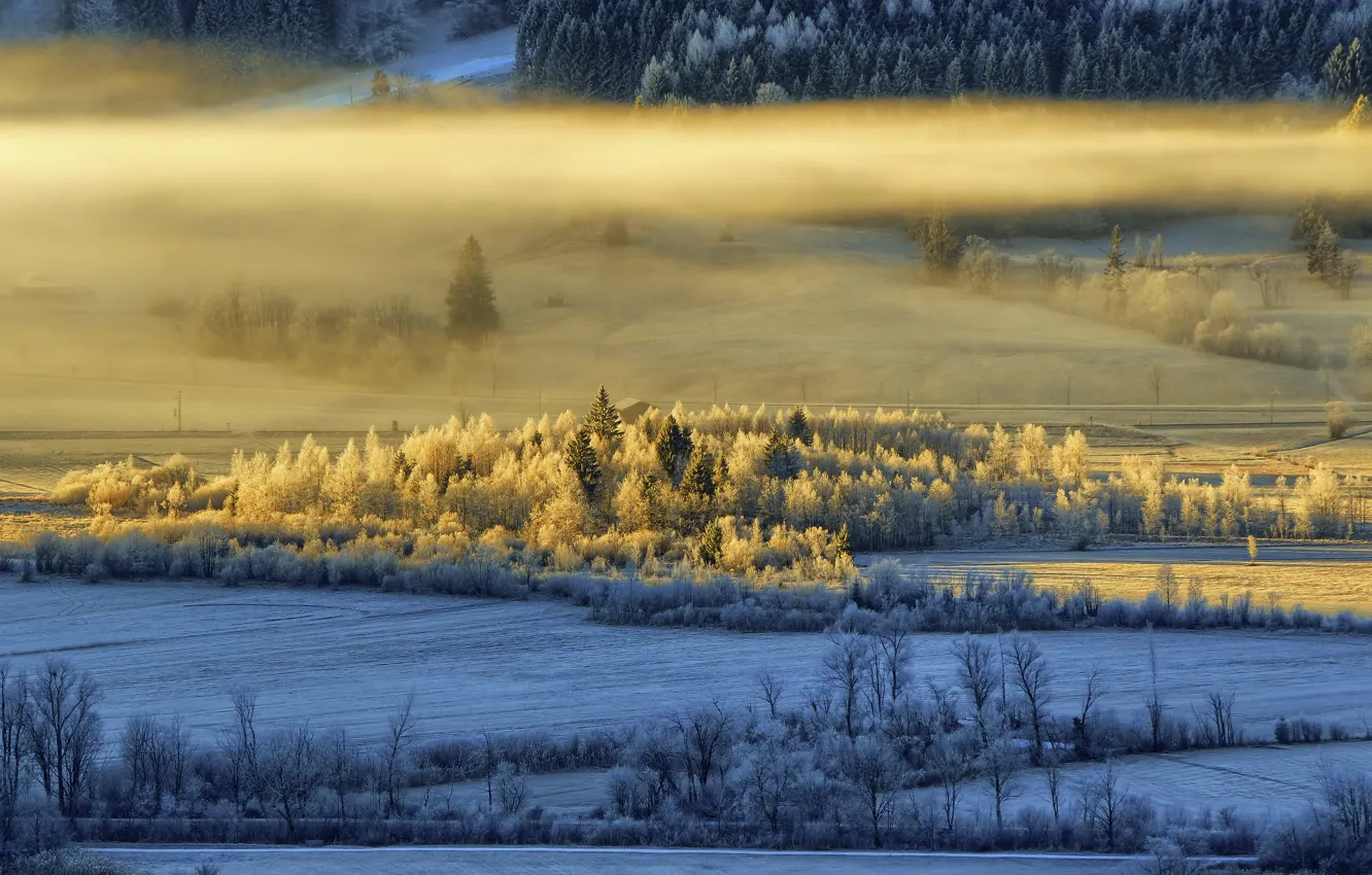 Photo wallpaper winter, light, fog, morning