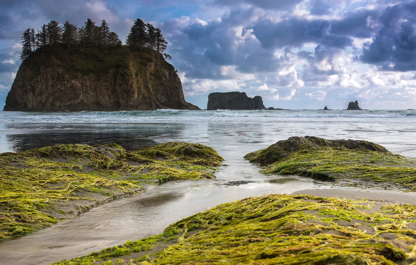 Photo wallpaper rocks, coast, Washington, Washington, The Pacific ocean, Olympic National Park, Olympic national Park