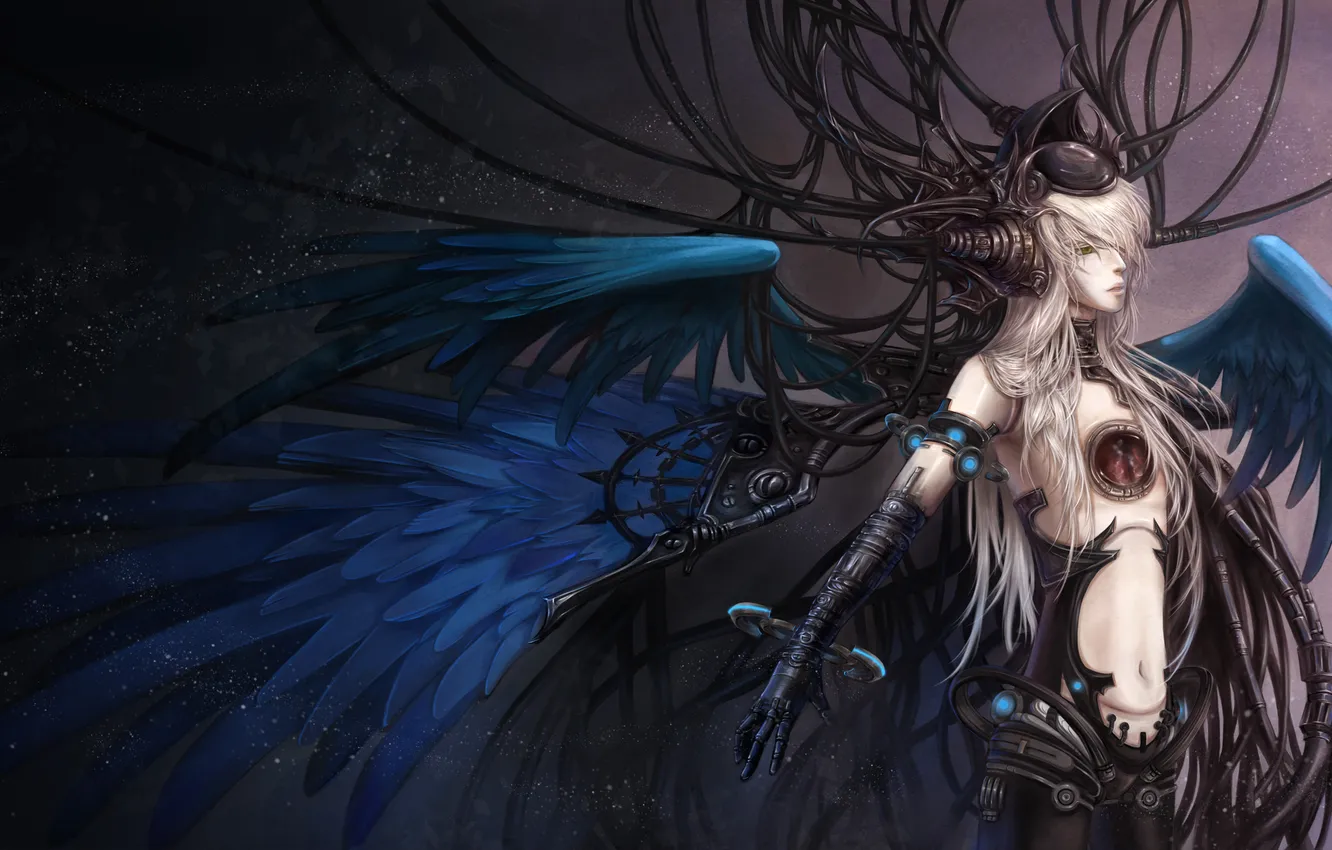 Photo wallpaper wire, wings, feathers, guy, Sherytan