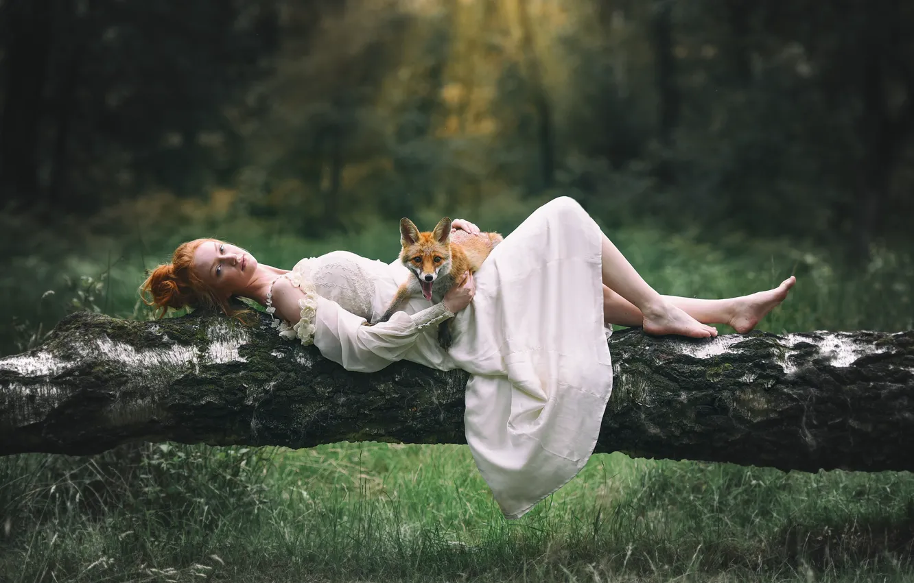 Photo wallpaper forest, look, girl, glade, dress, Fox, log, Fox