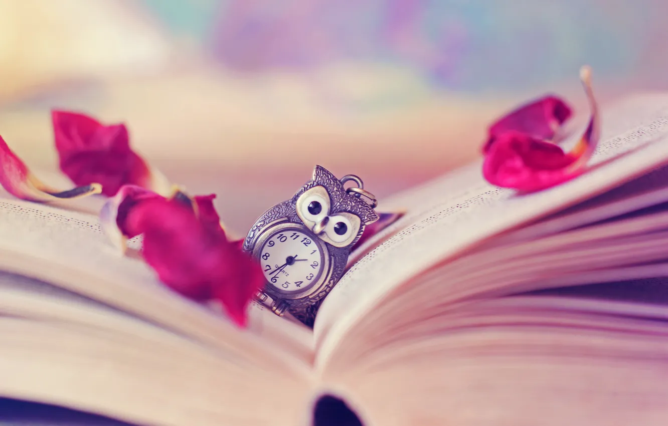 Photo wallpaper owl, watch, petals, book, page