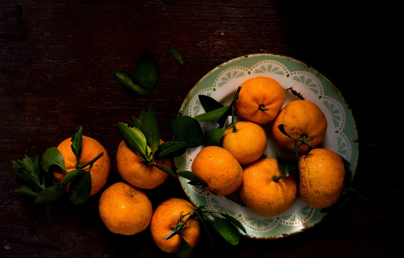 Photo wallpaper Leaves, Tangerines, Citrus