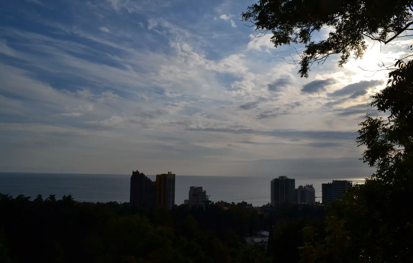 Photo wallpaper sea, the sky, rays, trees, Park, Sochi