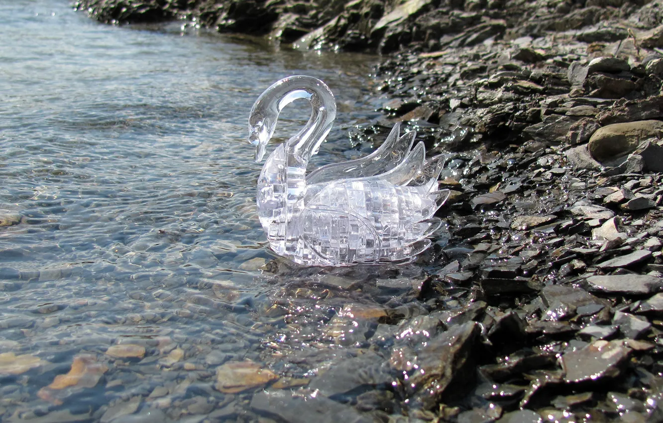 Photo wallpaper water, transparent, stones, shore, slope, swans