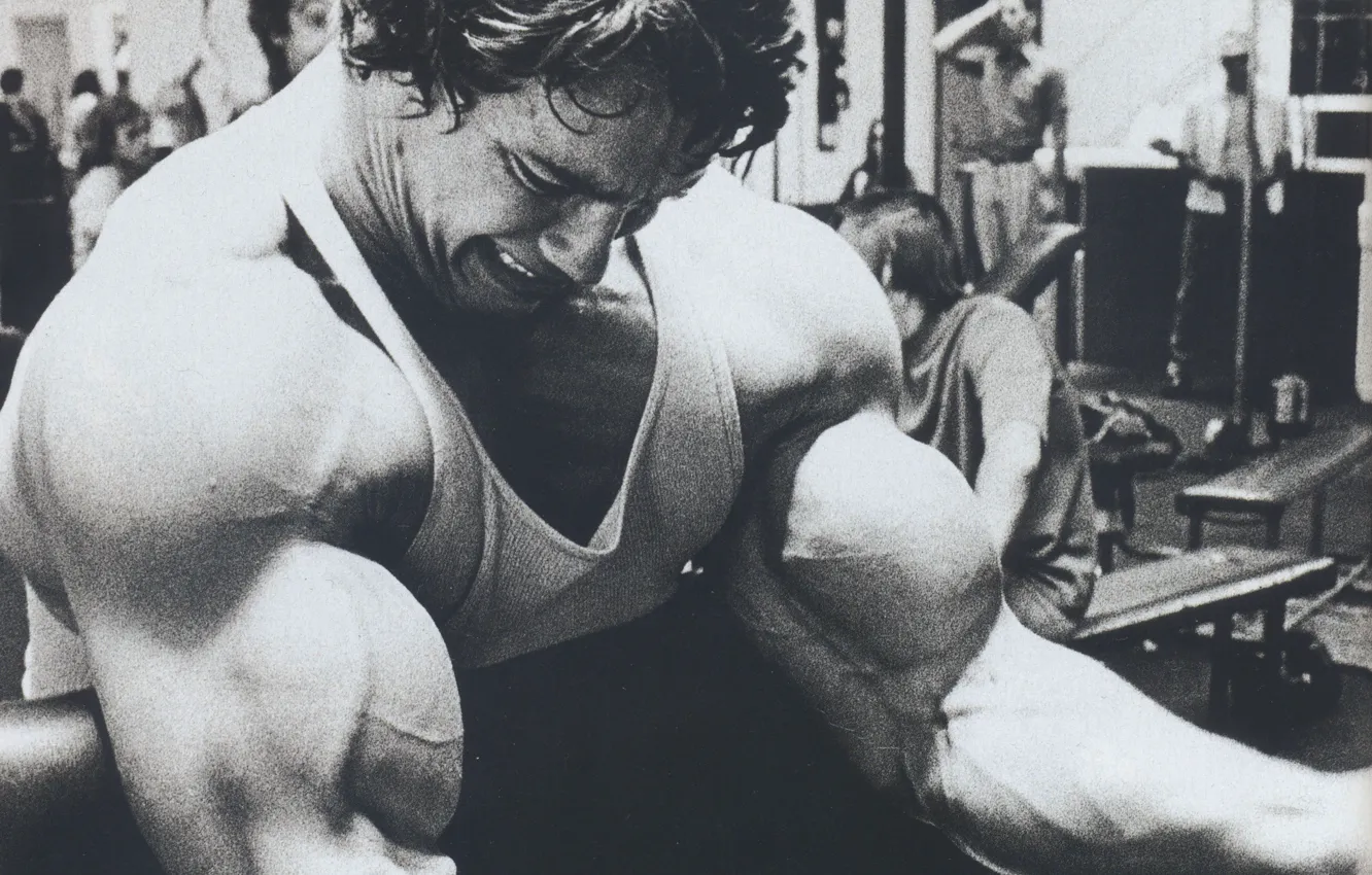 Photo wallpaper Actor, Arnold Schwarzenegger, bodybuilding, young, kachek, Producer, Director, Arnold Schwarzenegger