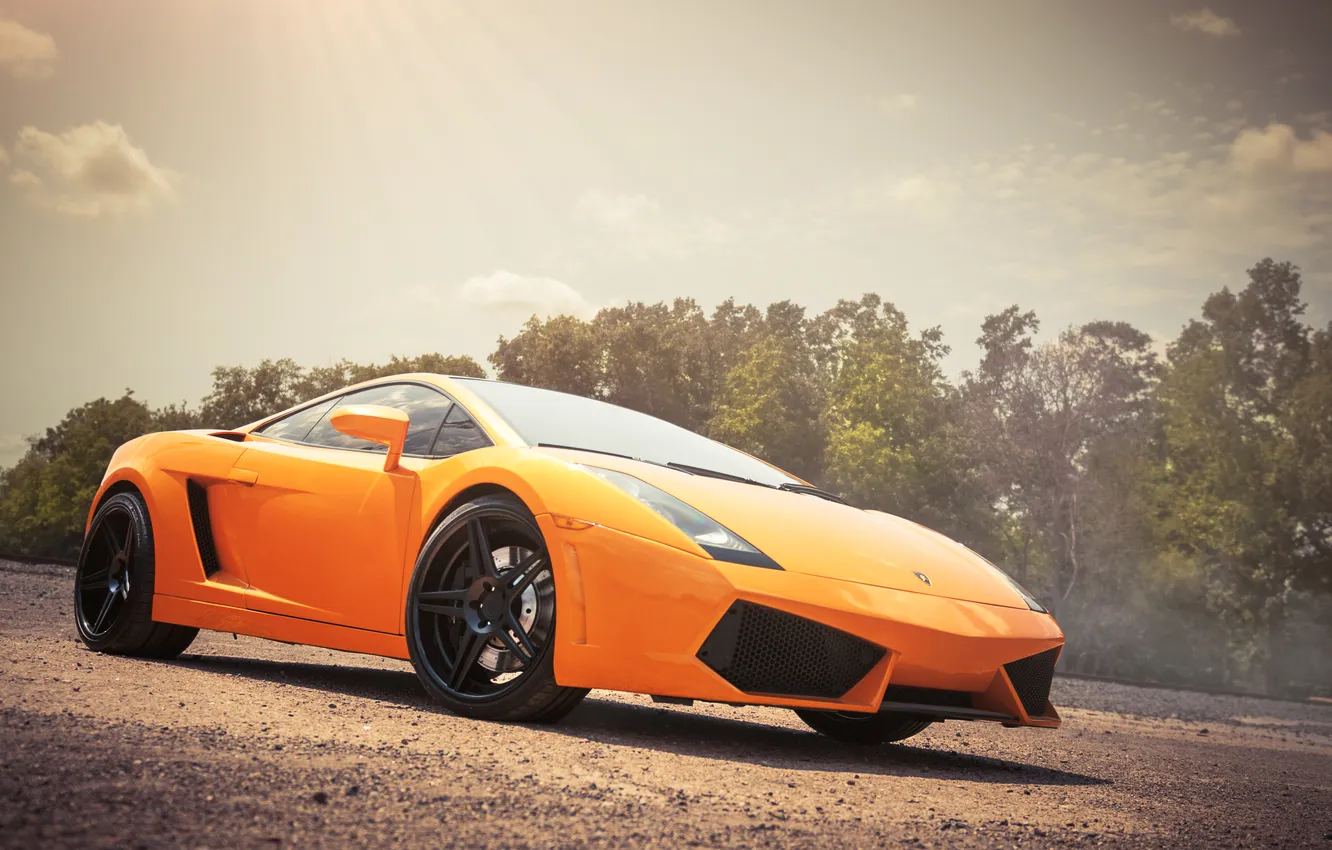 Photo wallpaper the sky, trees, orange, glare, Lamborghini, Gallardo, Front, Lamborghini