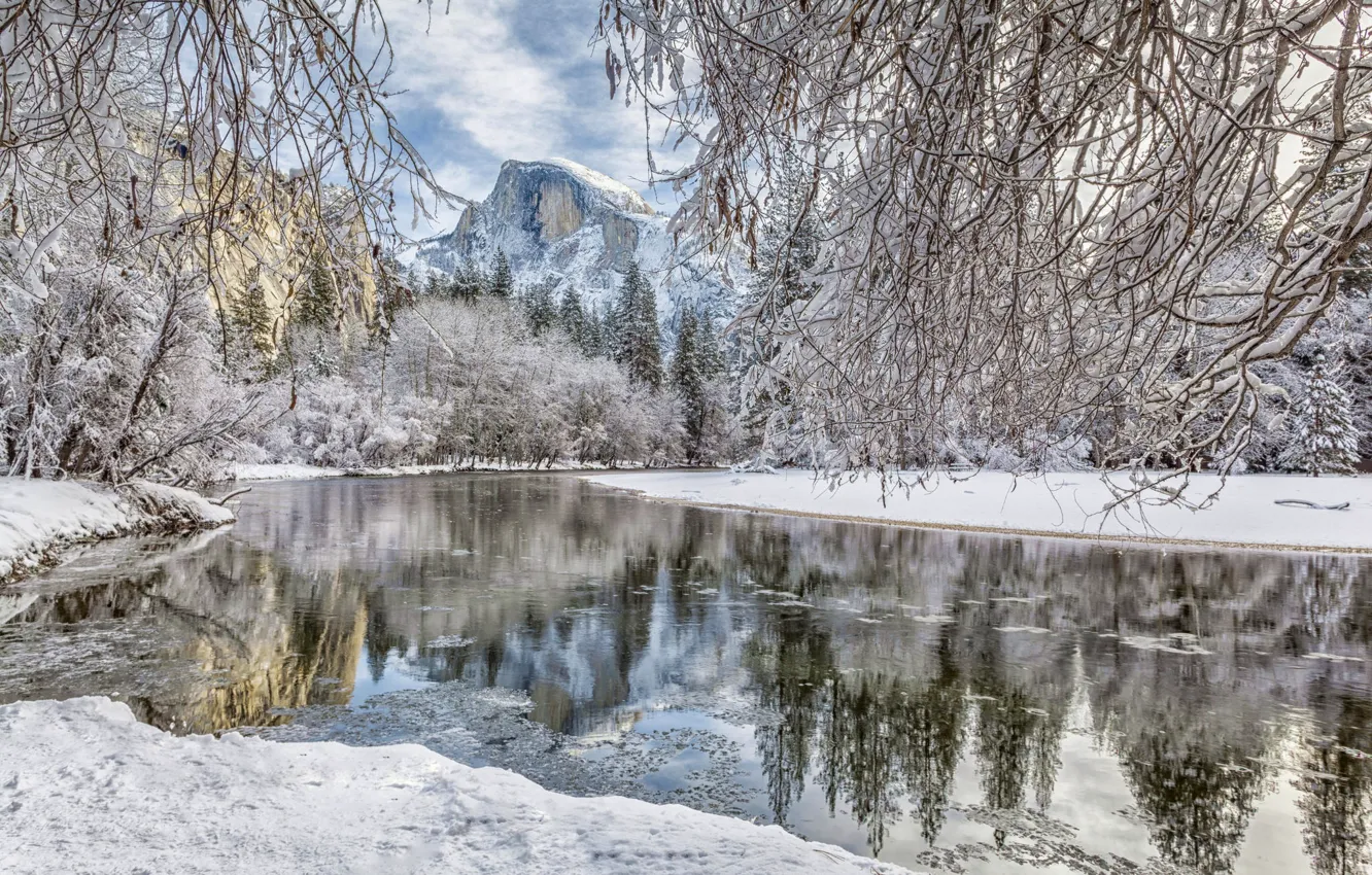 Photo wallpaper winter, forest, snow, mountains, branches, river, CA, California