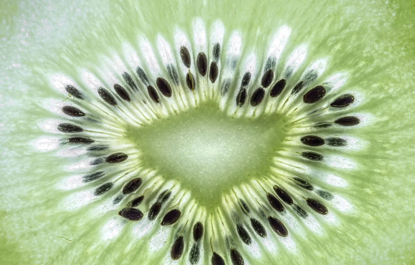 Photo wallpaper food, texture, kiwi, fruit