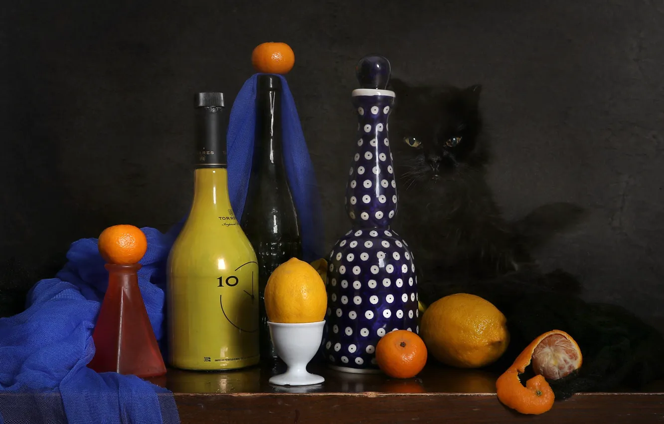 Photo wallpaper cat, cat, look, pose, the dark background, table, lemon, black