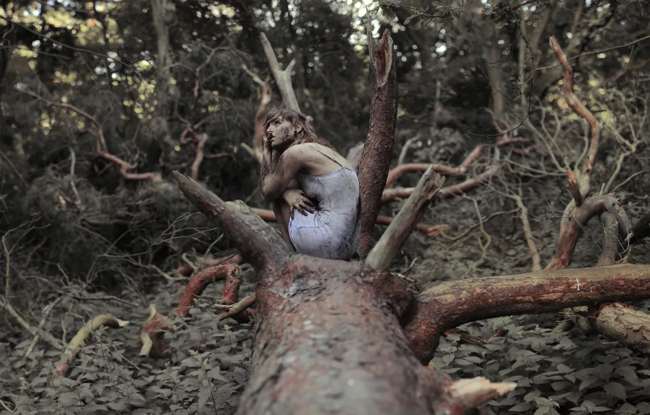 Photo wallpaper forest, girl, trees, dirt, nettle, The Spriggan