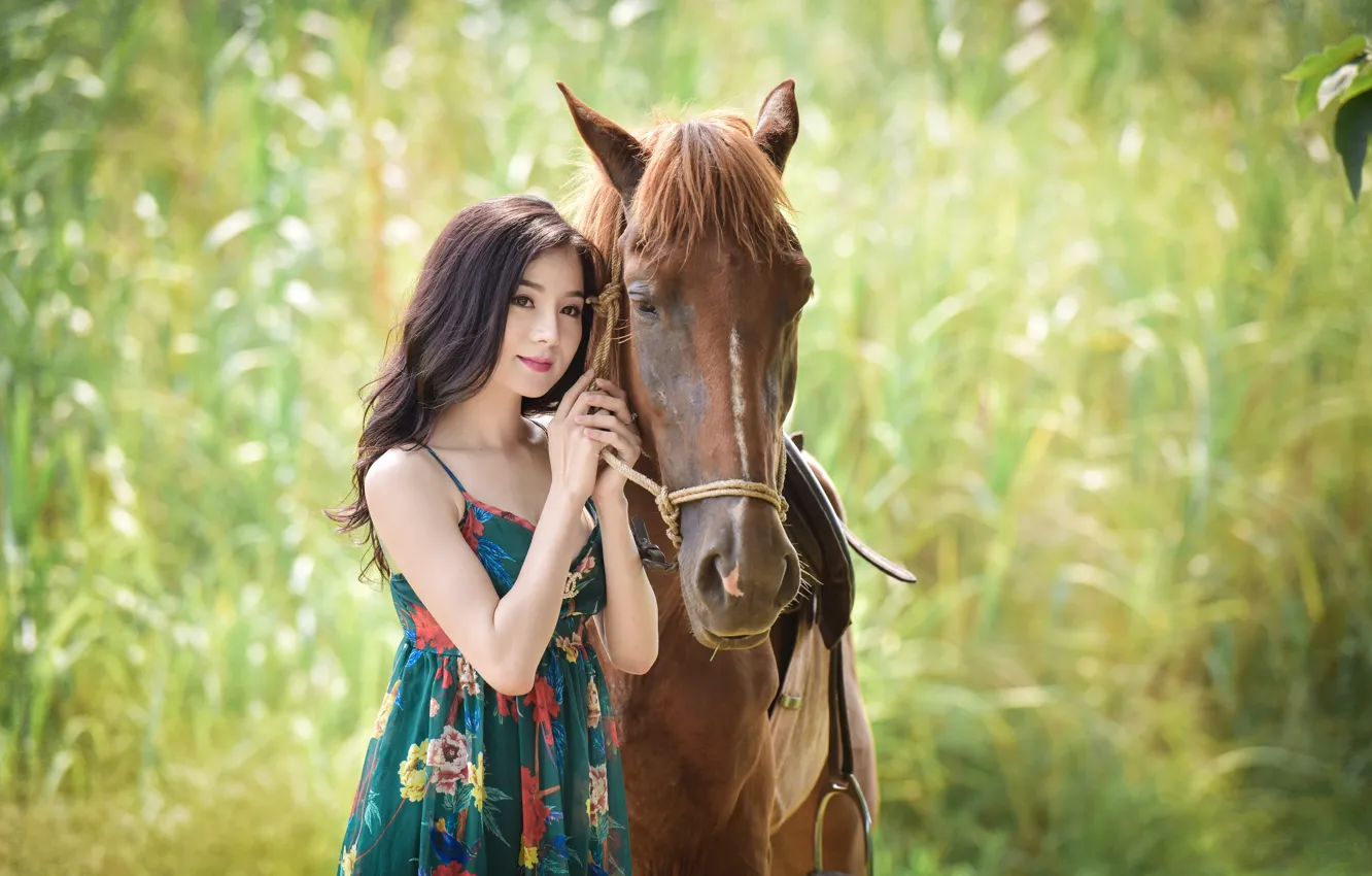 Photo wallpaper summer, face, background, horse, Asian