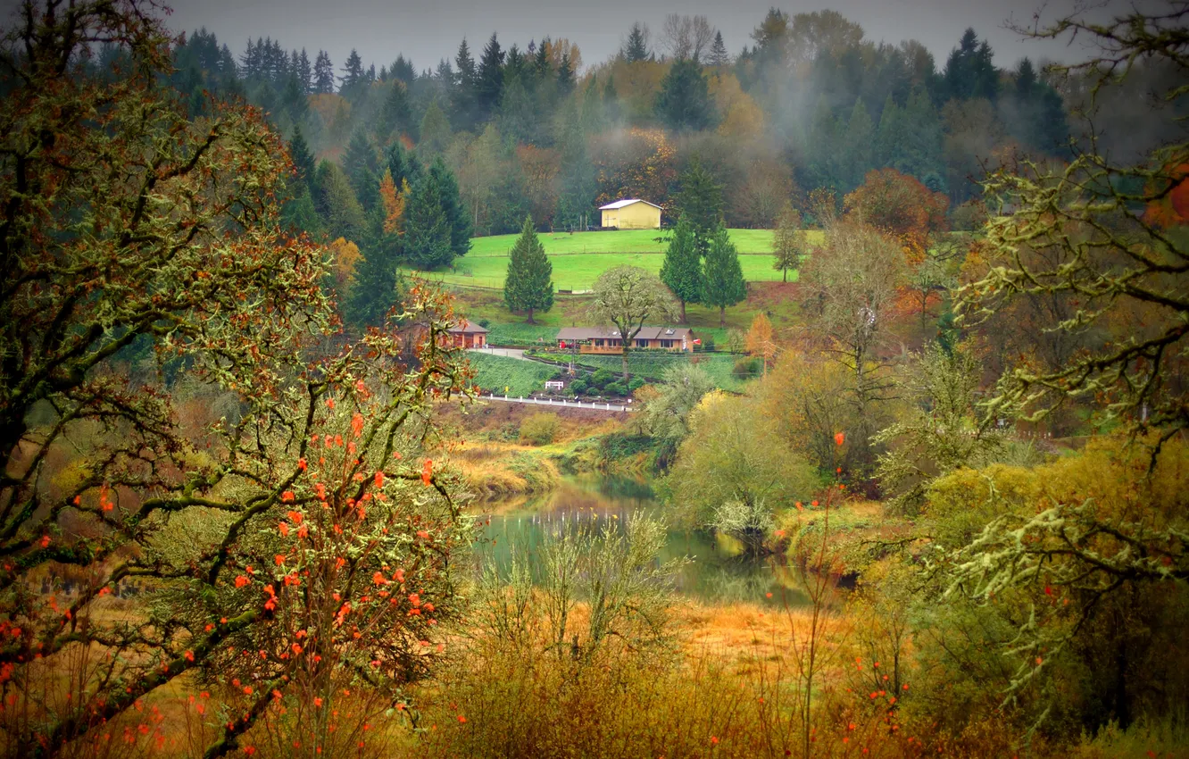 Photo wallpaper road, autumn, forest, the sky, grass, trees, flowers, nature