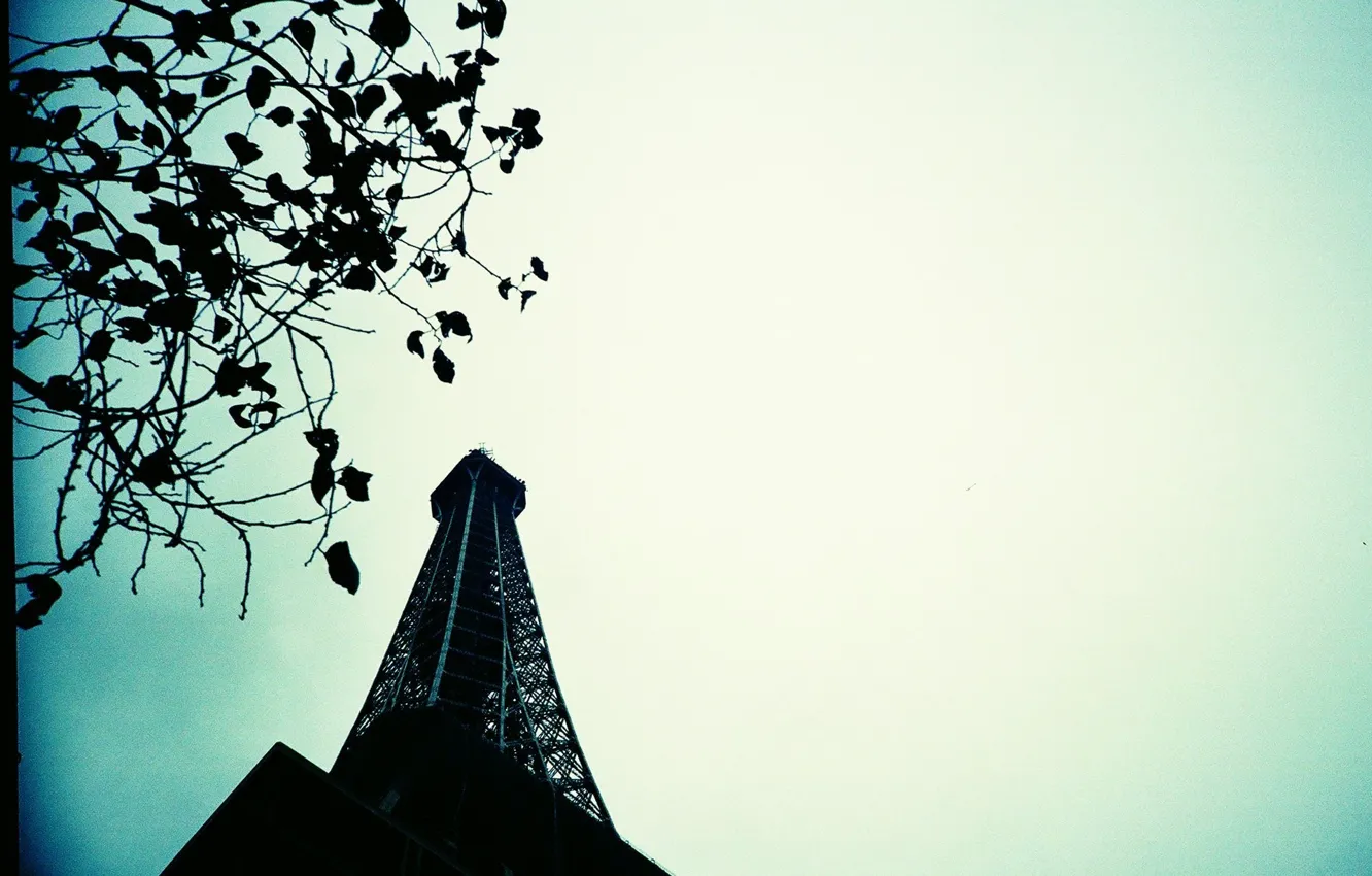Photo wallpaper the sky, tower, Paris