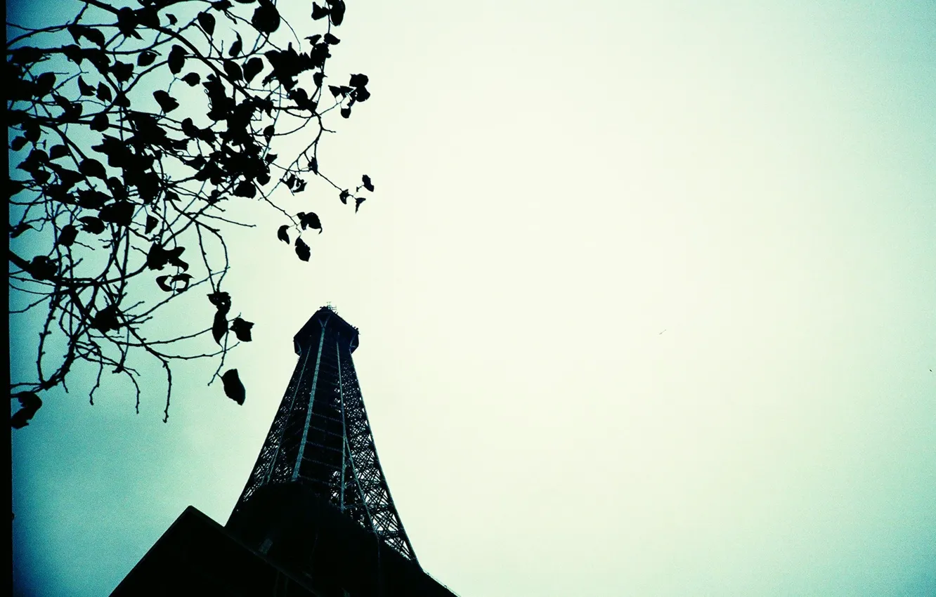 Photo wallpaper the sky, Paris, tower