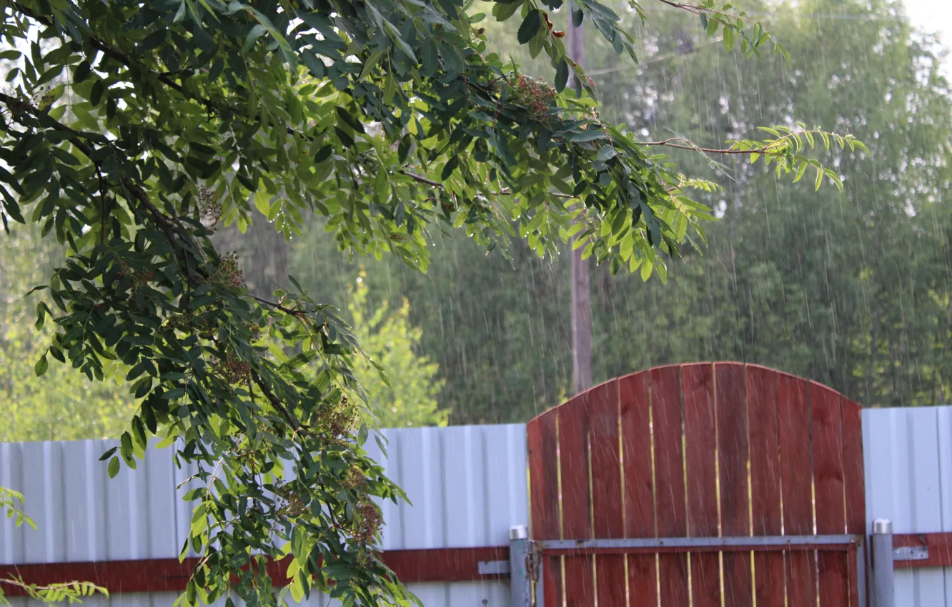 Photo wallpaper rain, village, the shower