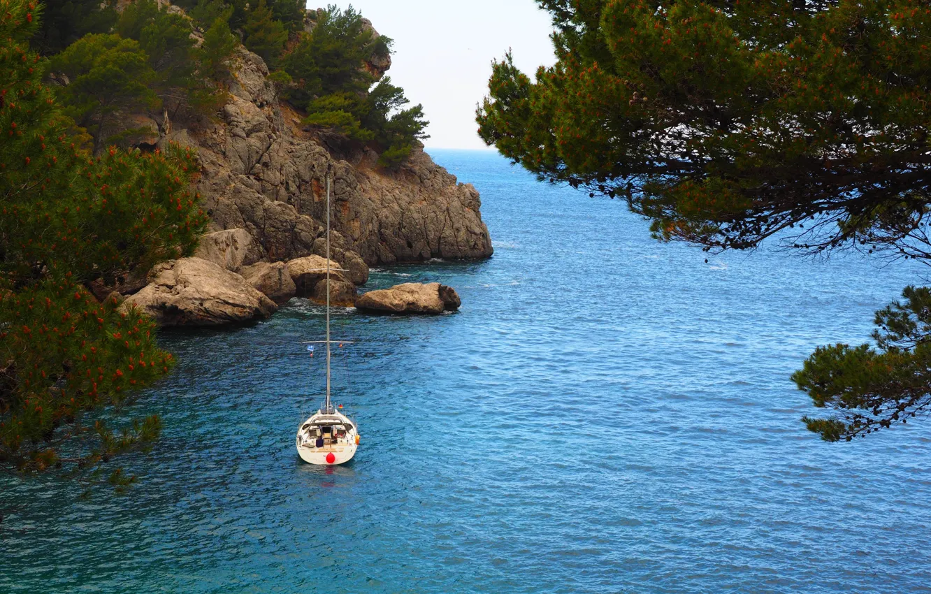 Photo wallpaper sea, landscape, branches, nature, rocks, boat, Bay, needles