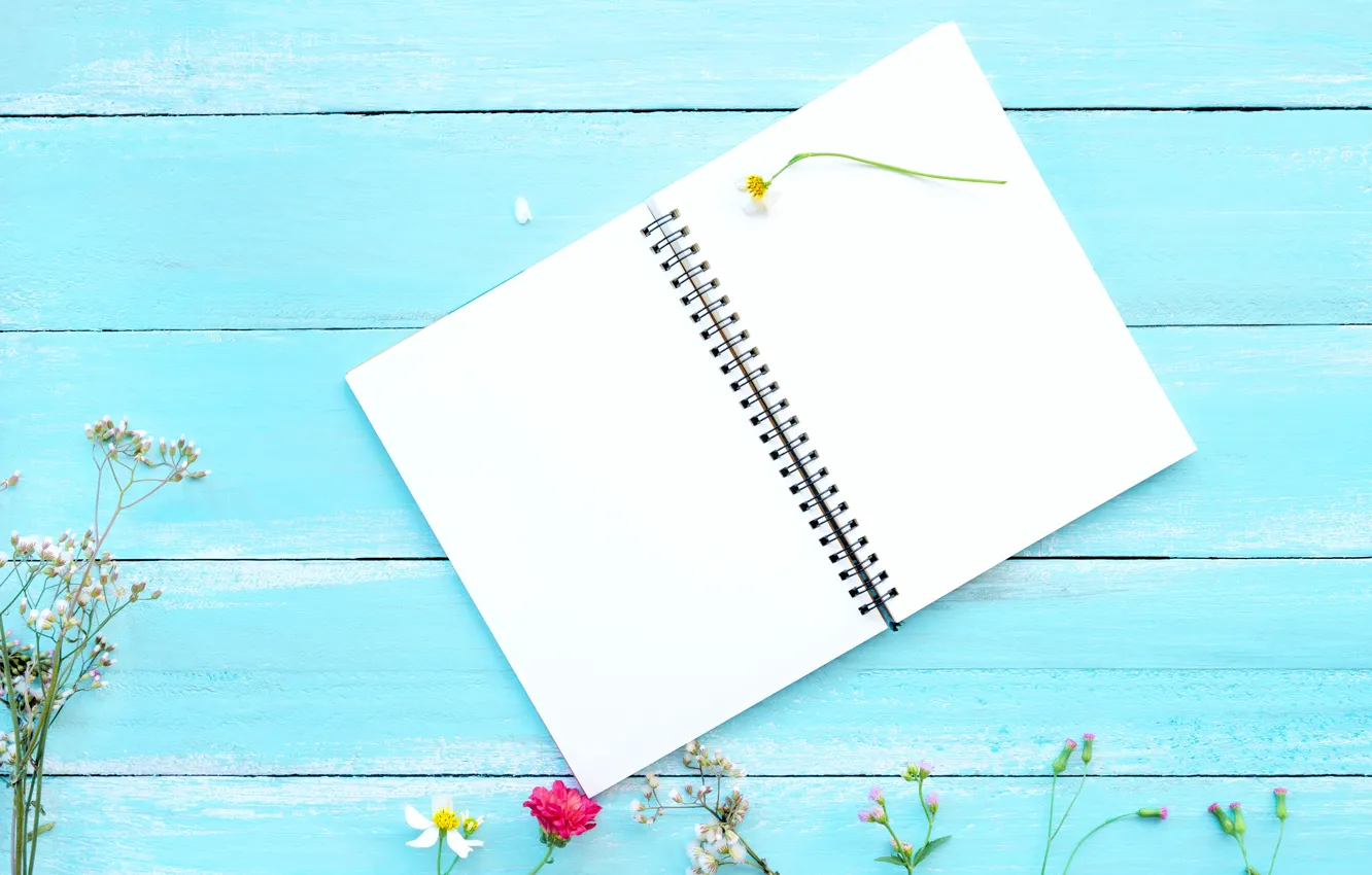 Photo wallpaper flowers, background, notebook, chrysanthemum