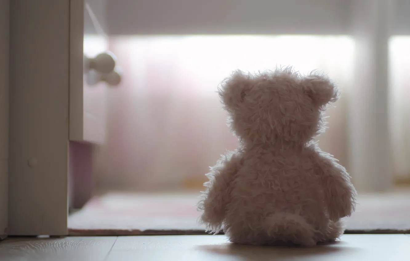 Photo wallpaper background, home, bear