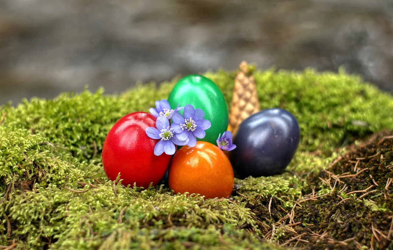Photo wallpaper flowers, moss, eggs, Easter, bump