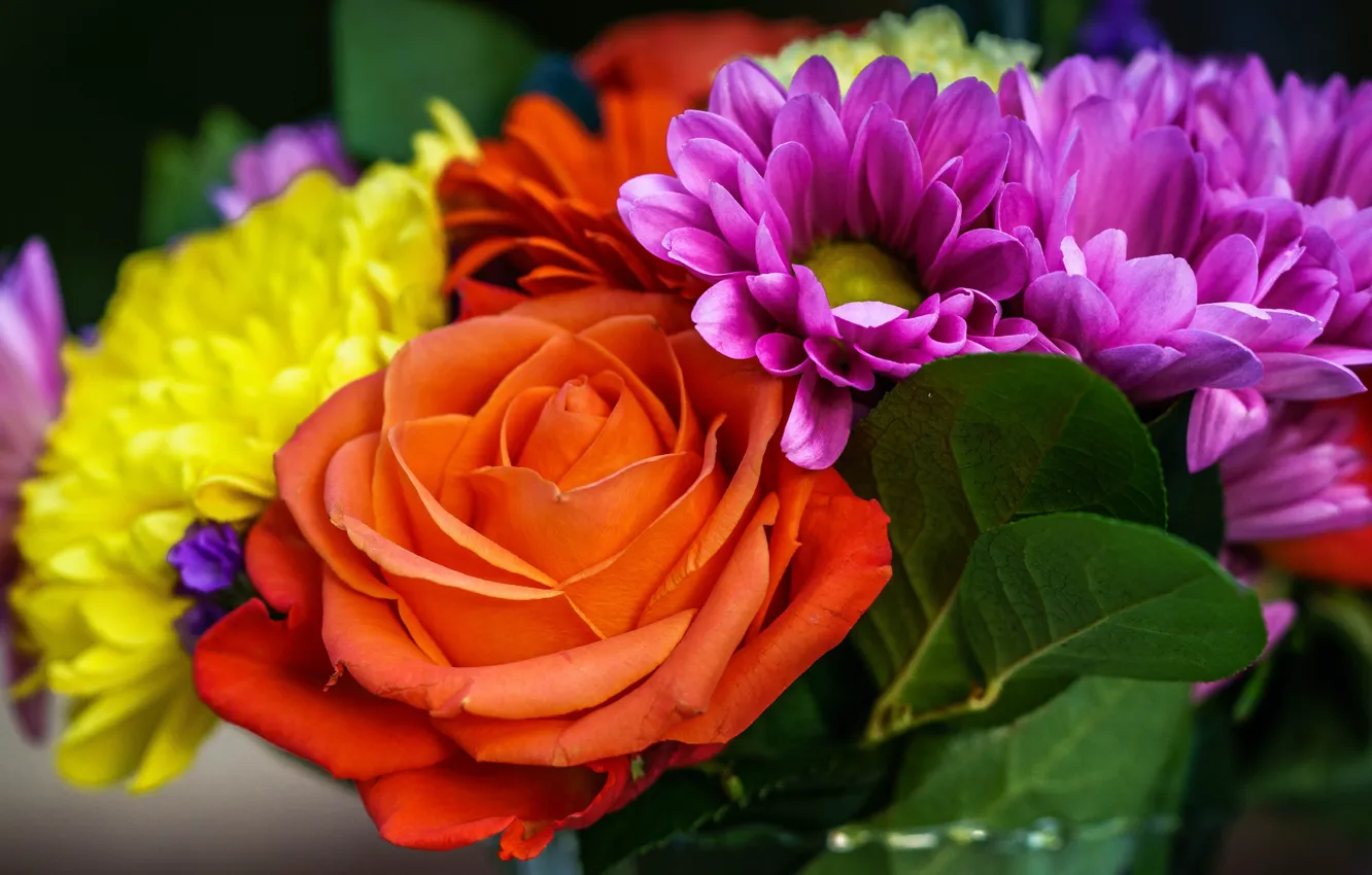 Photo wallpaper flowers, orange, yellow, bright, roses, bouquet, petals, different